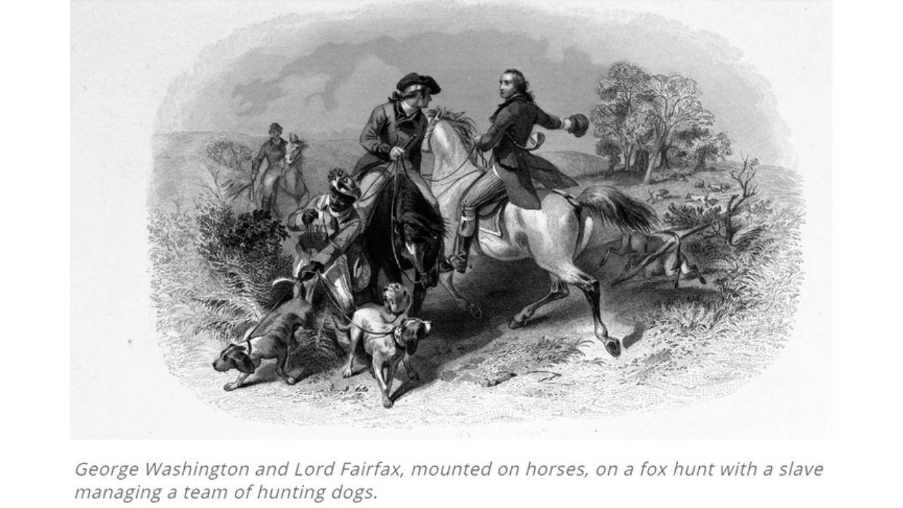 George Washington: Founding Father—And Passionate Dog Breeder